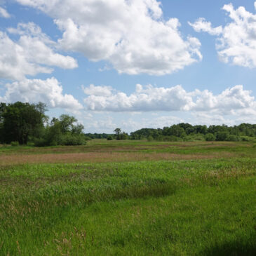 Hazematen (Drenthe)