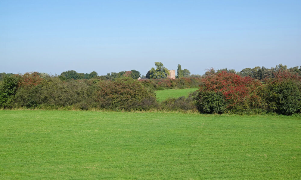 Heggen bij Ruïne De Nijenbeek