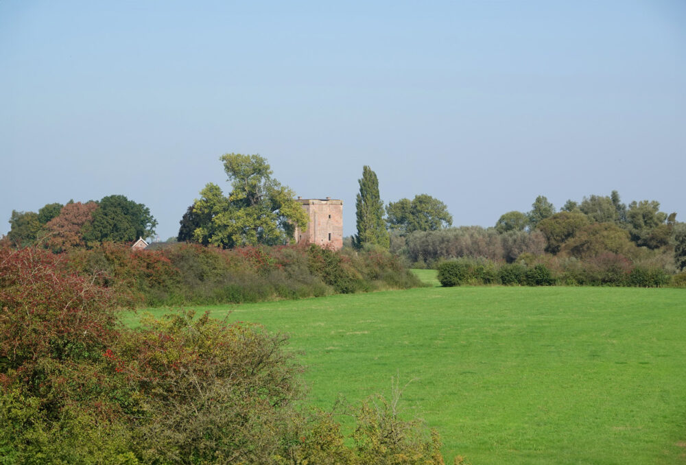 Heggen bij Ruïne De Nijenbeek (Rammelwaard)