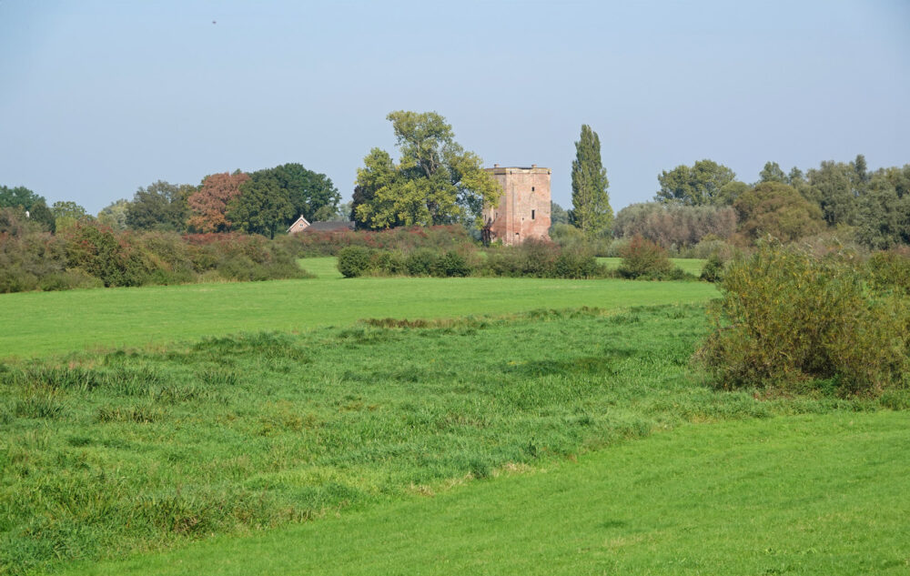 Heggen bij de Rammelwaard