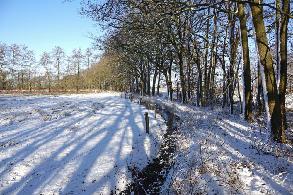 Het Beeld in de winter