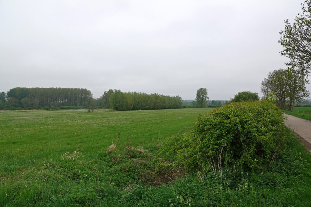 Het Broek