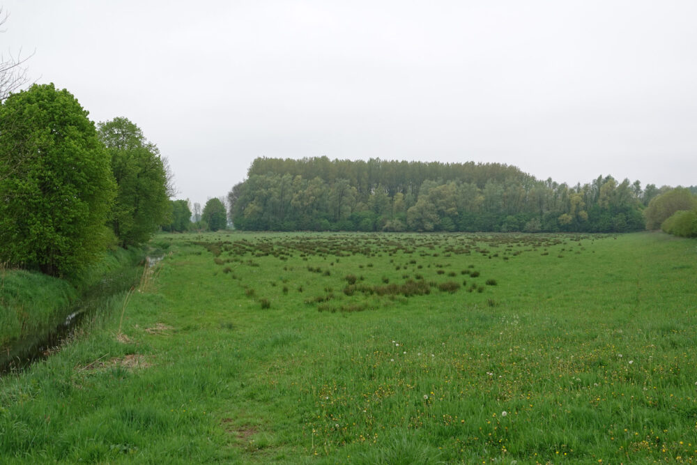 Het Broek