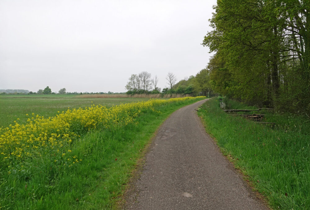 Het Broek