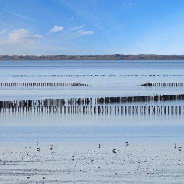Het Schoor (Waddenzee)