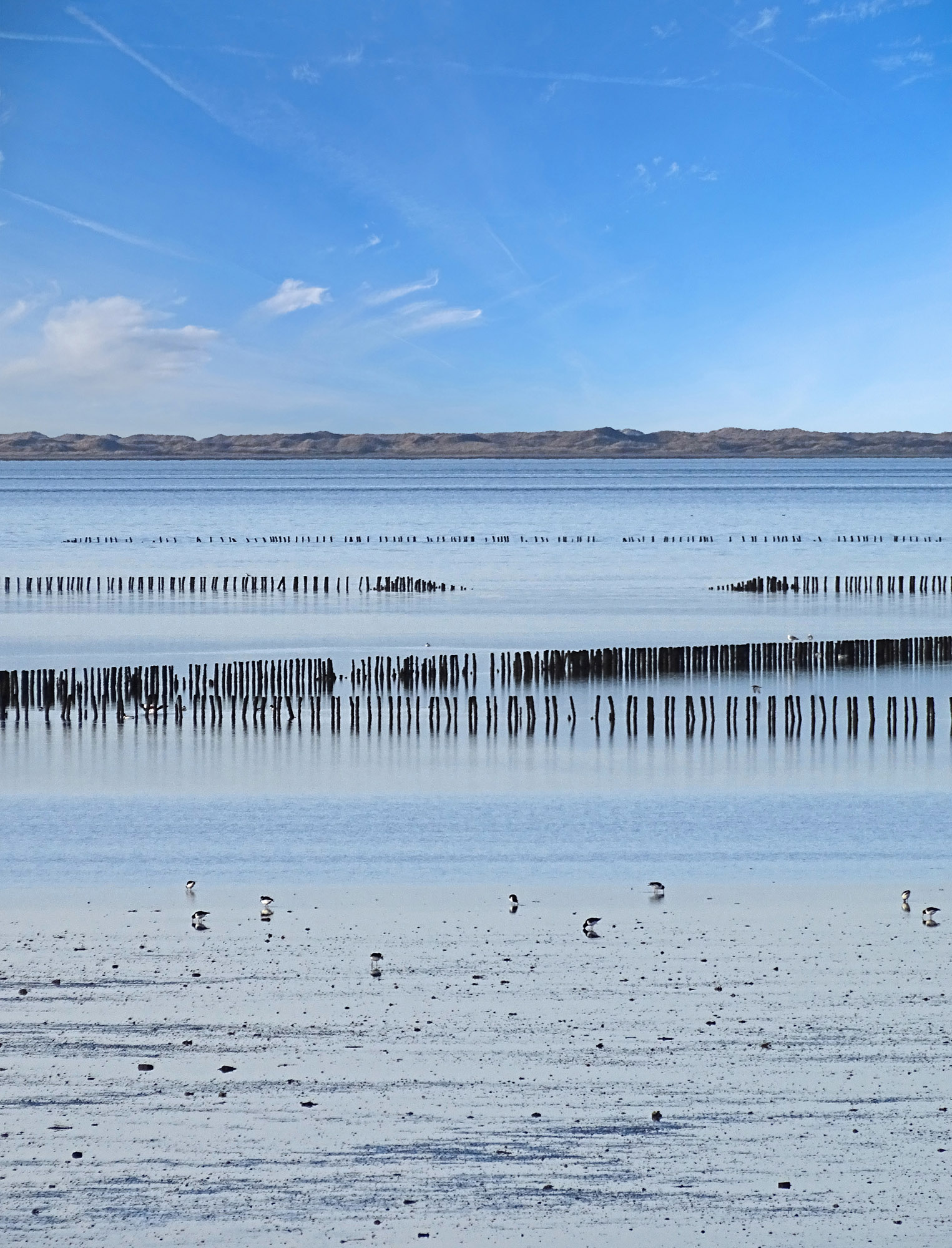 Het Schoor (Waddenzee)