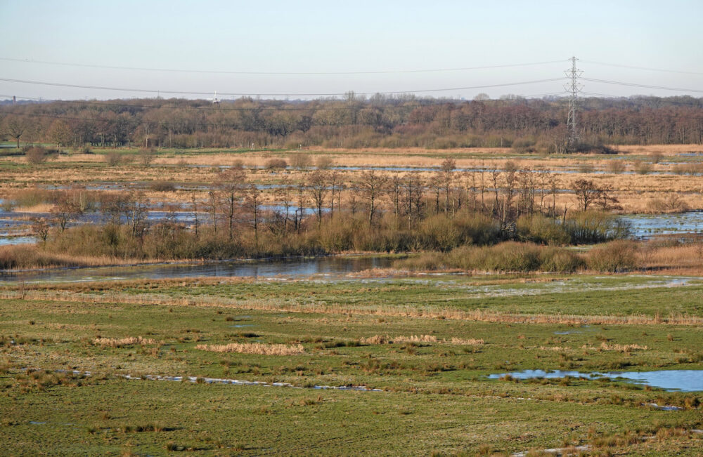 Het Wold in de winter