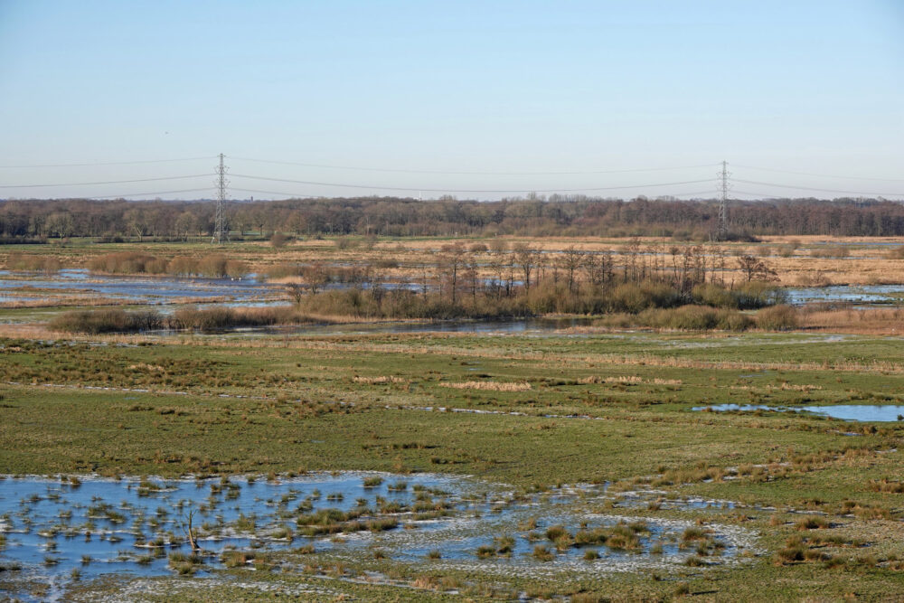 Het Wold in de winter