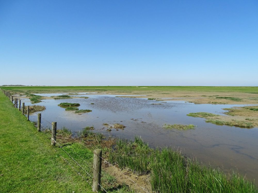 Hoek van de Bant