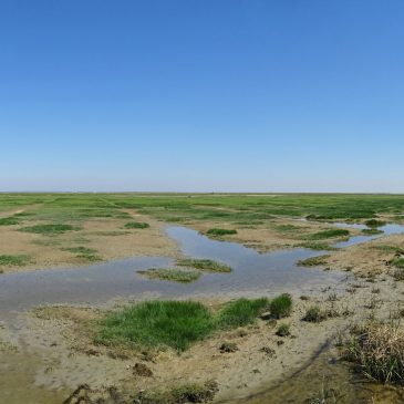 Hoek van de Bant (Waddenzee)