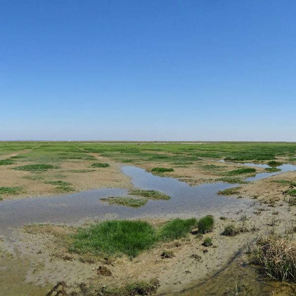 Hoek van de Bant (Waddenzee)