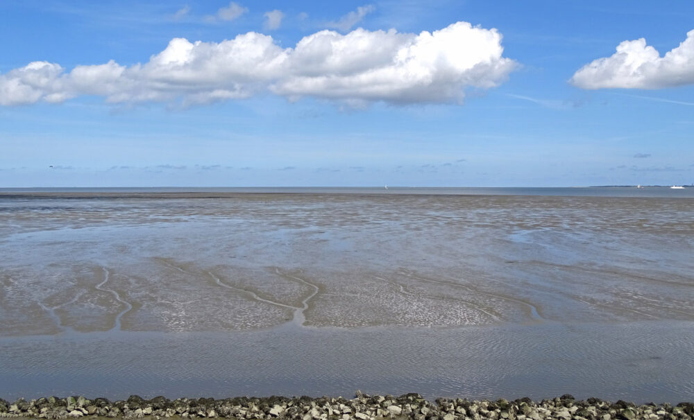 Hoek van de Bant (Waddenzee)