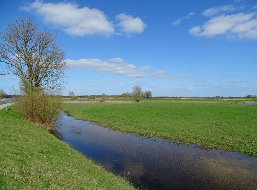 Hoenwaard (IJsselvallei)