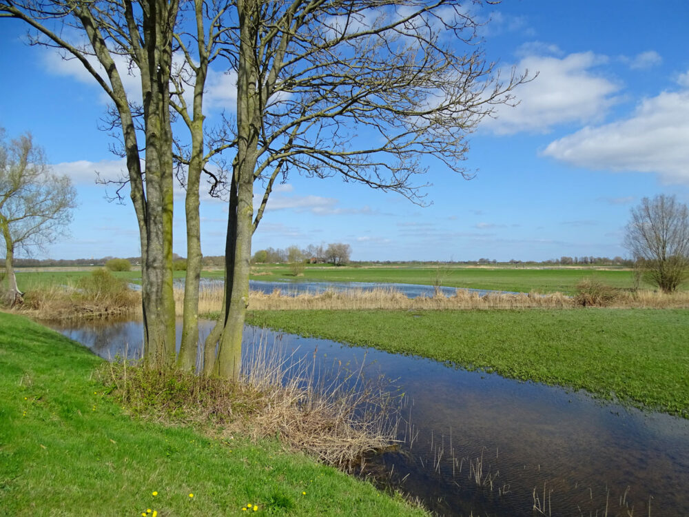 Hoenwaard (IJsselvallei)