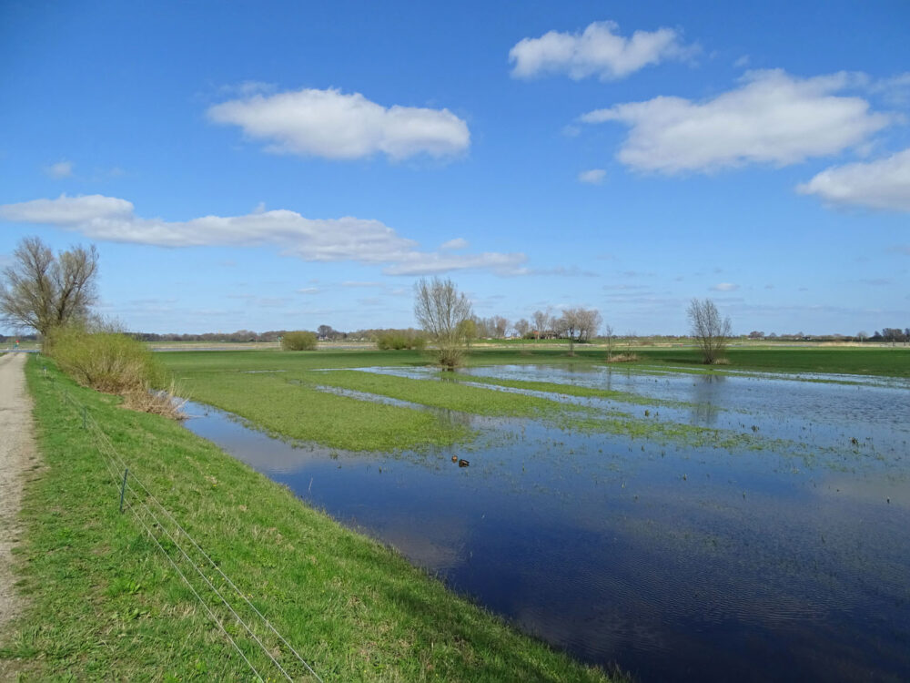 Hoenwaard (IJsselvallei)