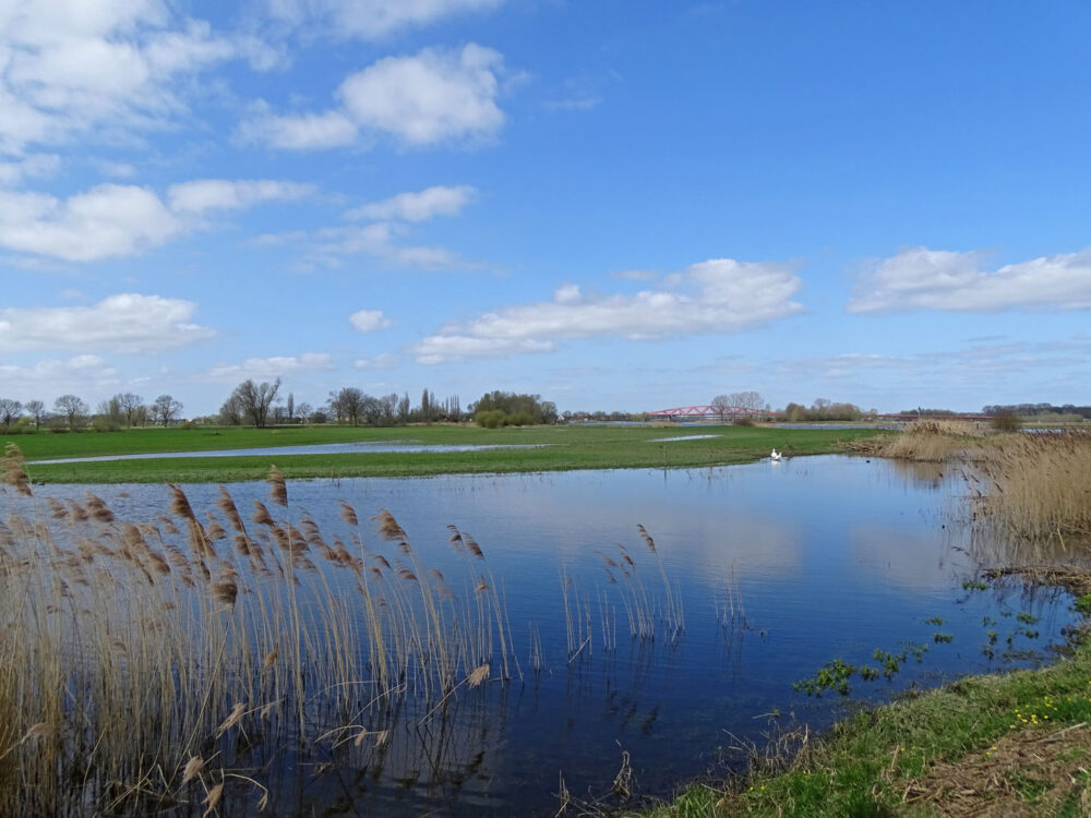 Hoenwaard (IJsselvallei)