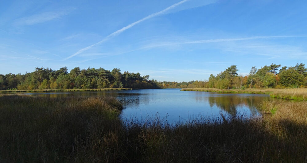 Holtingerveld