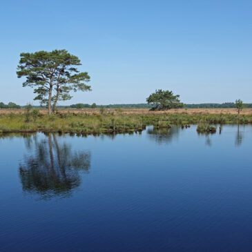 NP Dwingelderveld