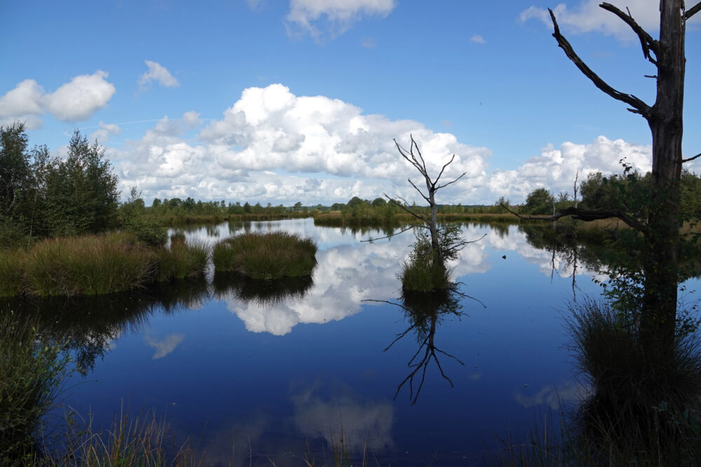 Holtveen (Dwingelderveld)