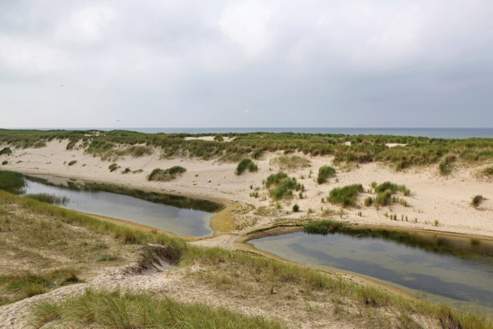 Hondsbossche Zeewering in het najaar