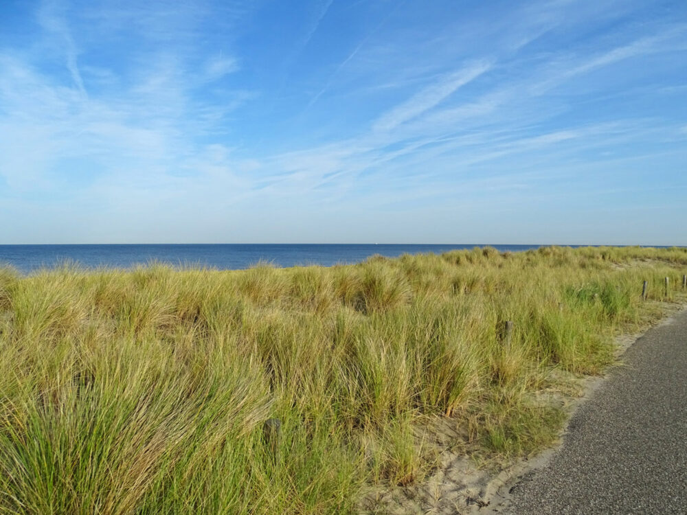 Hondsbossche duinen