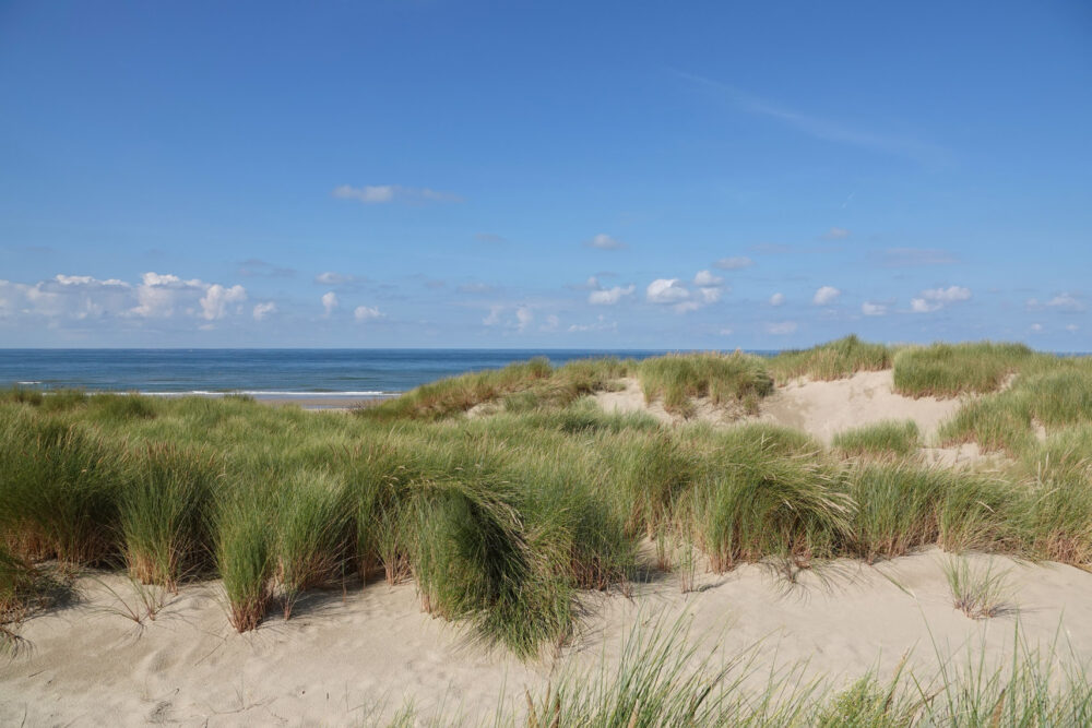 Hondsbossche zeewering