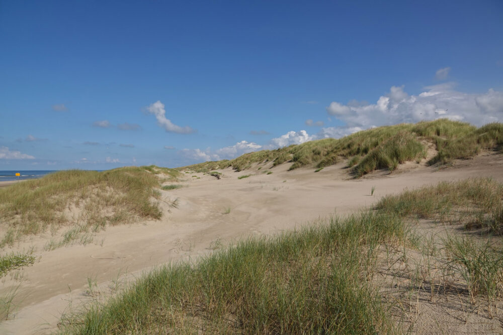 Hondsbossche zeewering
