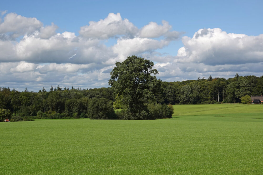 Hoog Lutte (Landgoederen Oldenzaal)