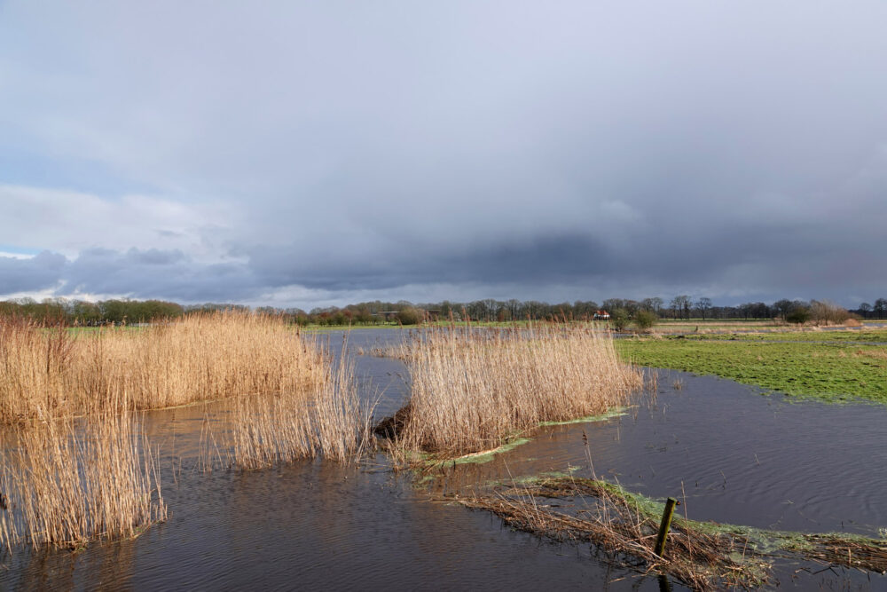 Hoogwater Eelderdiep (winter)