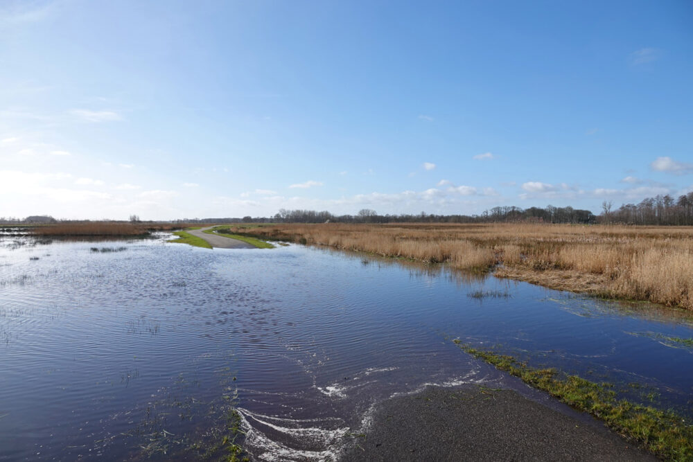 Hoogwater (Matslootgebied)