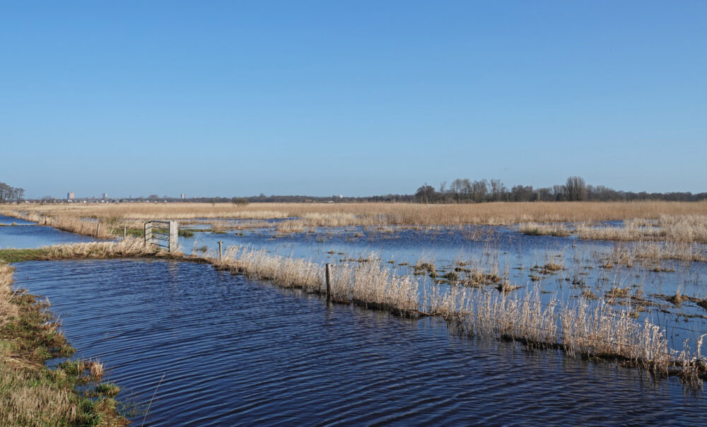 Hoogwater Zwarte Made langs Eelderdiep (Onlanden)