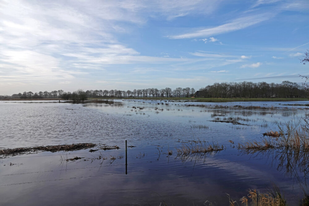 Hoogwater Zwarte Made langs Eelderdiep (Onlanden)