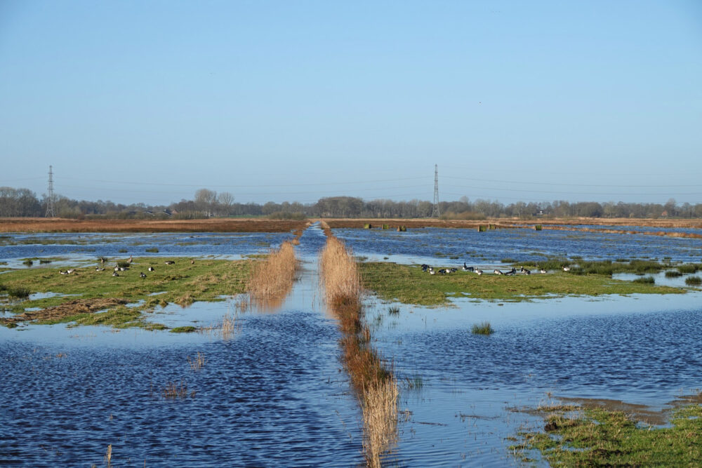 Hoogwater in de Weeringsbroeken (Onlanden)