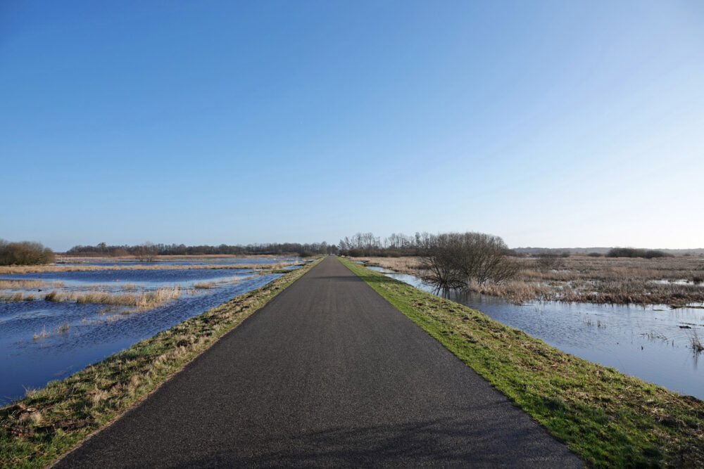 Hoogwater in de Weeringsbroeken (Onlanden)
