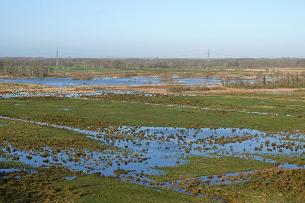 Hoogwater in de Weeringsbroeken (Onlanden)