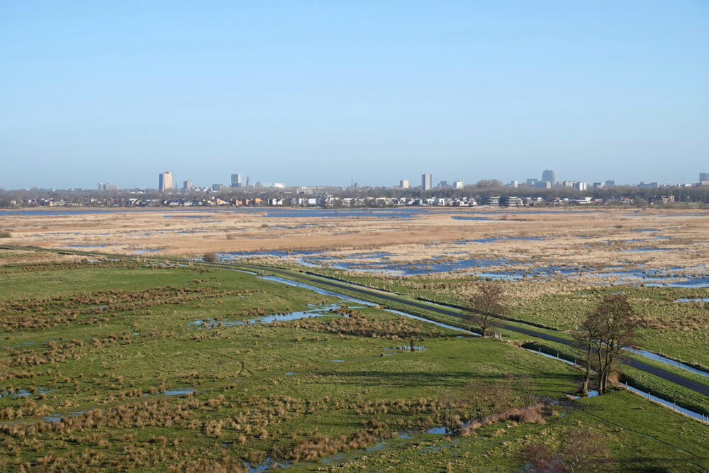 Hoogwater langs Eelderdiep (Onlanden)