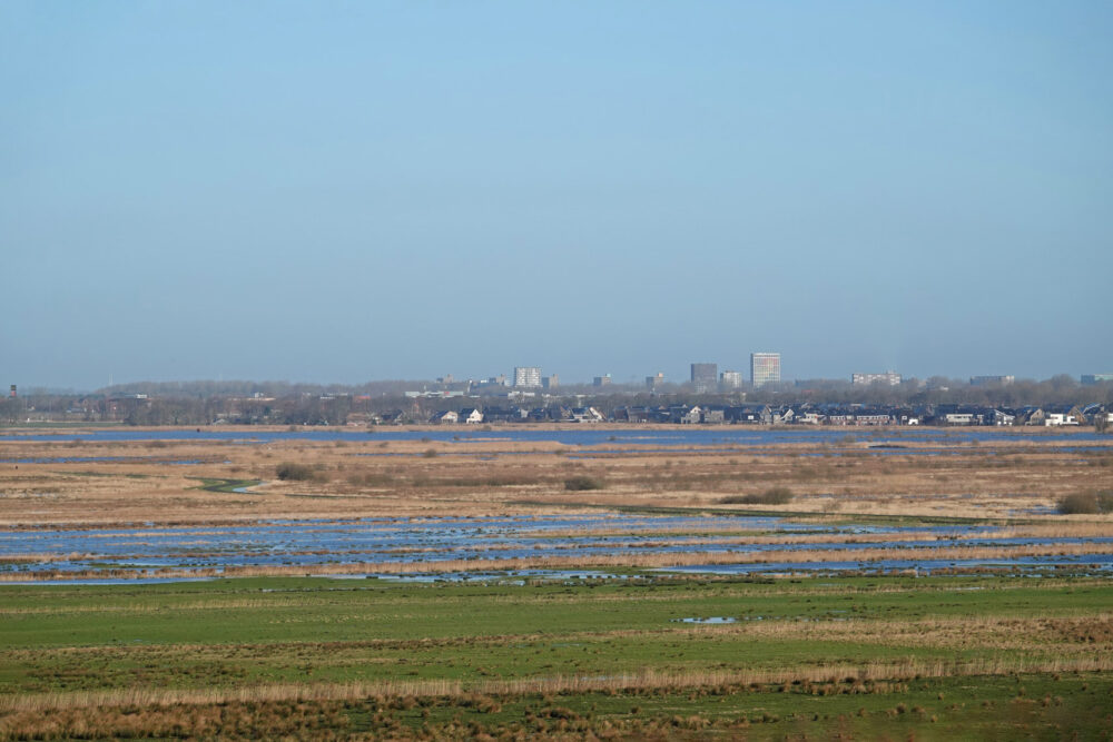 Hoogwater langs Eelderdiep (Onlanden)