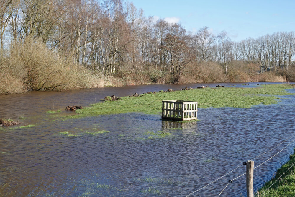 Hoornse Diep (Hoogwater)