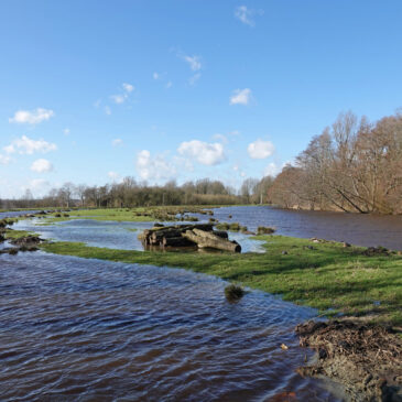 Hoornse Diep (Groningen)