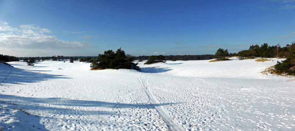 Hulshorsterzand (Veluwe)
