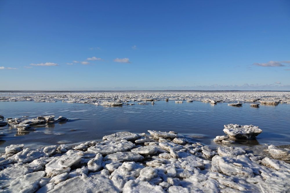 IJsschotsen Rommelhoek (Waddenzee)