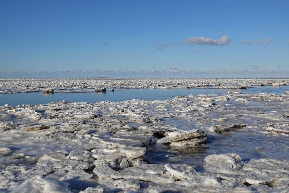 IJsschotsen Rommelhoek (Waddenzee)
