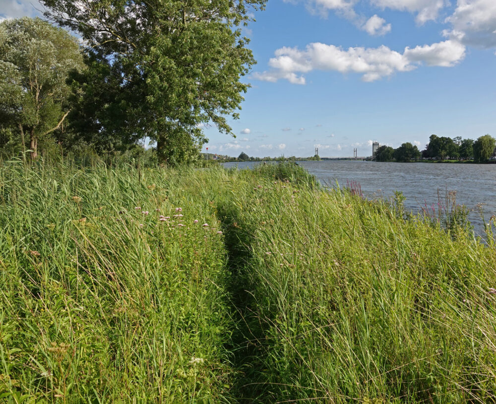 IJssel bij kampen