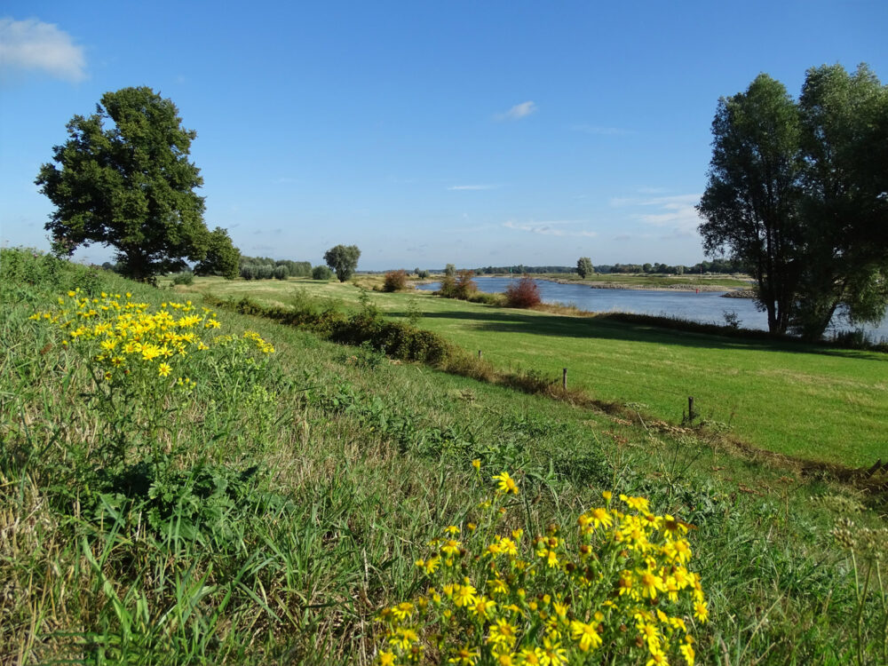 IJsselvallei in het najaar