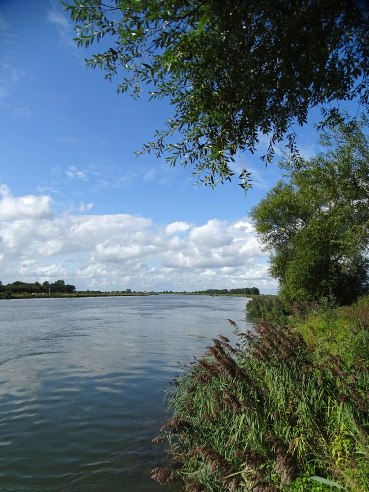 IJssel ter hoogte van Zalk