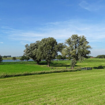IJsselvallei tussen Zalk en Kampen