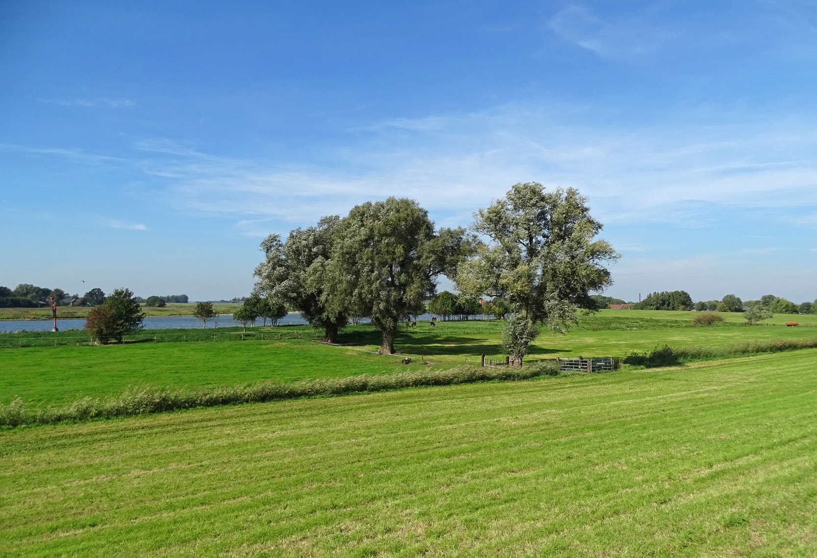 IJsselvallei tussen Zalk en Kampen