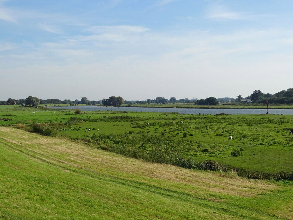 IJssellandschap tussen Zalk en Kampen