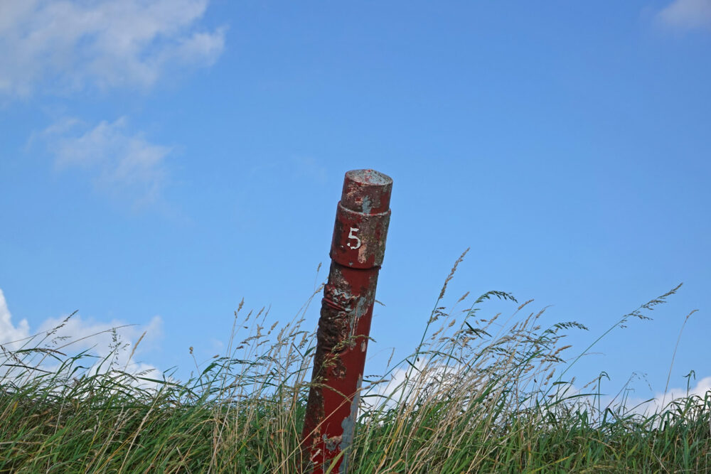 IJsselmeerpaaltje (Zeevang)