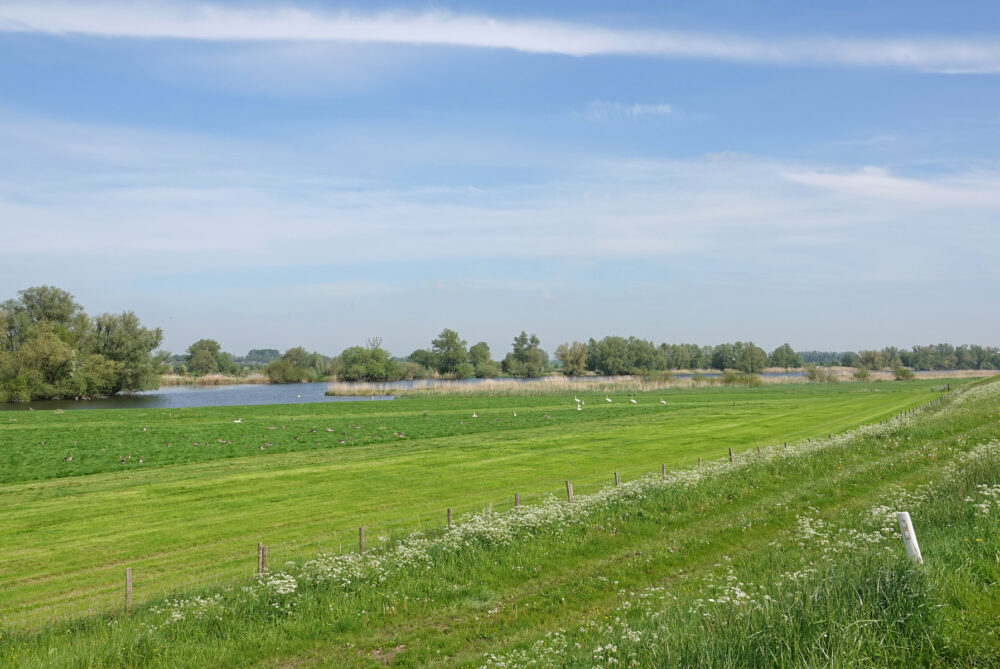 IJsselvallei tussen Kampen en Zalk